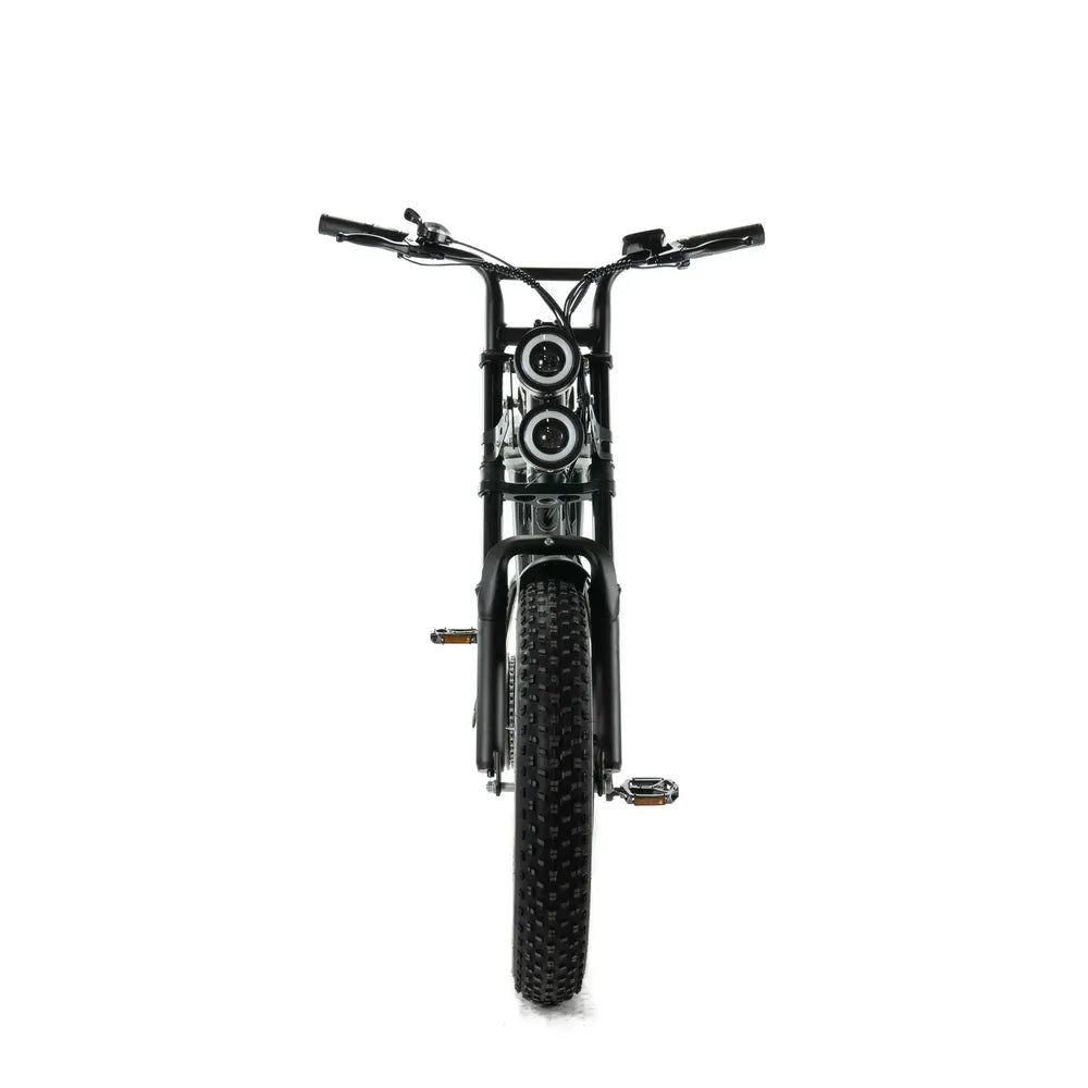 ENGWE M20 - Dual Battery - Black