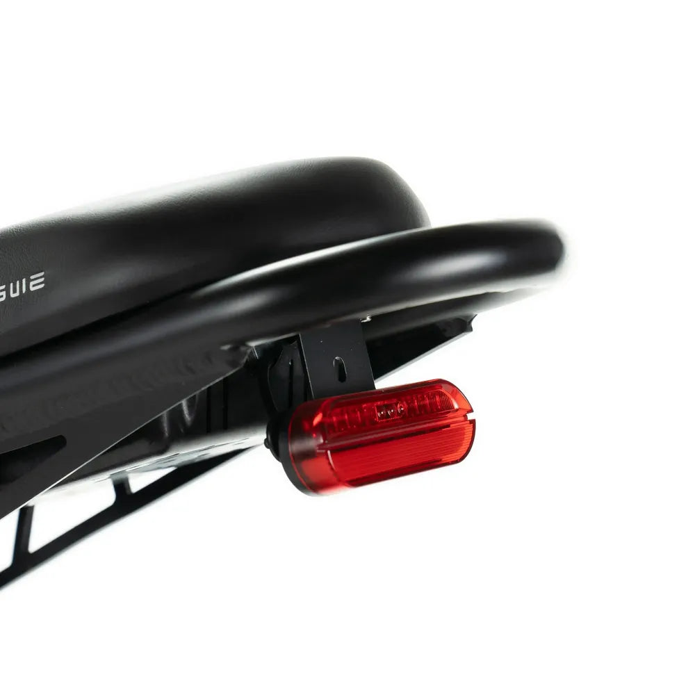 ENGWE M20 - Dual Battery - Black