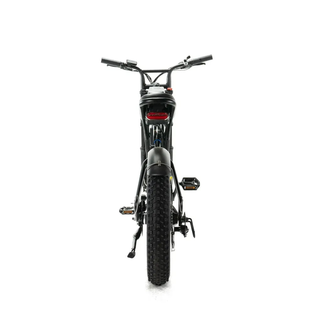 ENGWE M20 - Fatbike - Dubbele accu - Zwart