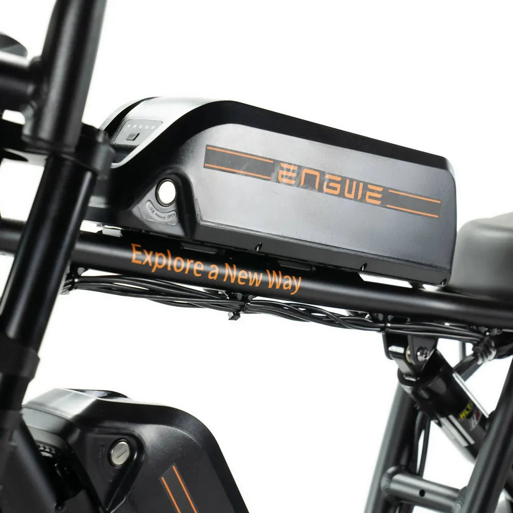 ENGWE M20 - Fatbike - Dubbele accu - Zwart