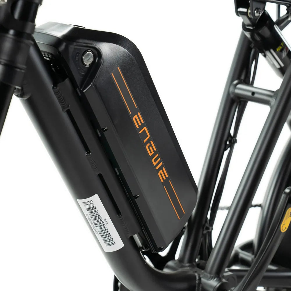 ENGWE M20 - Fatbike - Dubbele accu - Zwart