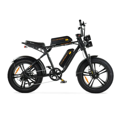 ENGWE M20 - Fatbike - Dubbele accu - Zwart
