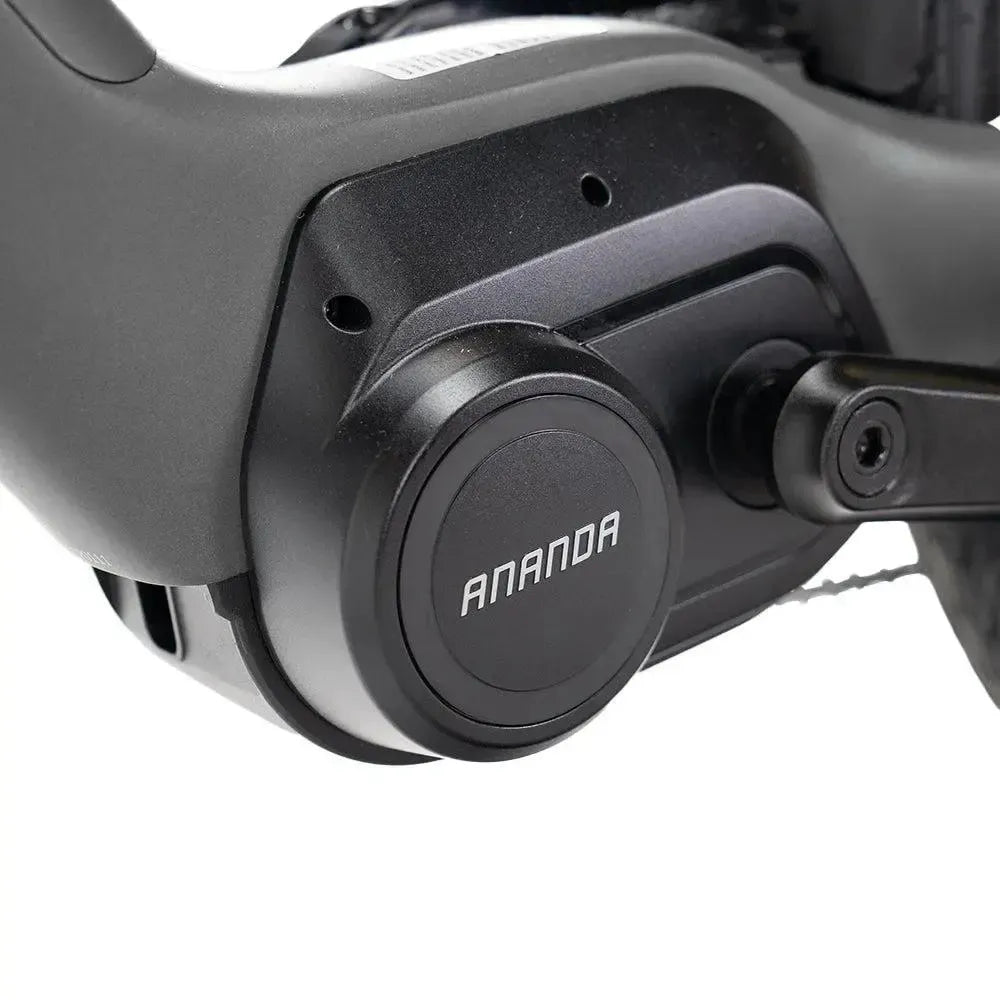 ENGWE Mapfour N1 Pro - Grijs