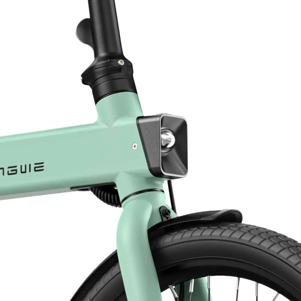 ENGWE P20 - Elektrische Vouwfiets - Zwart