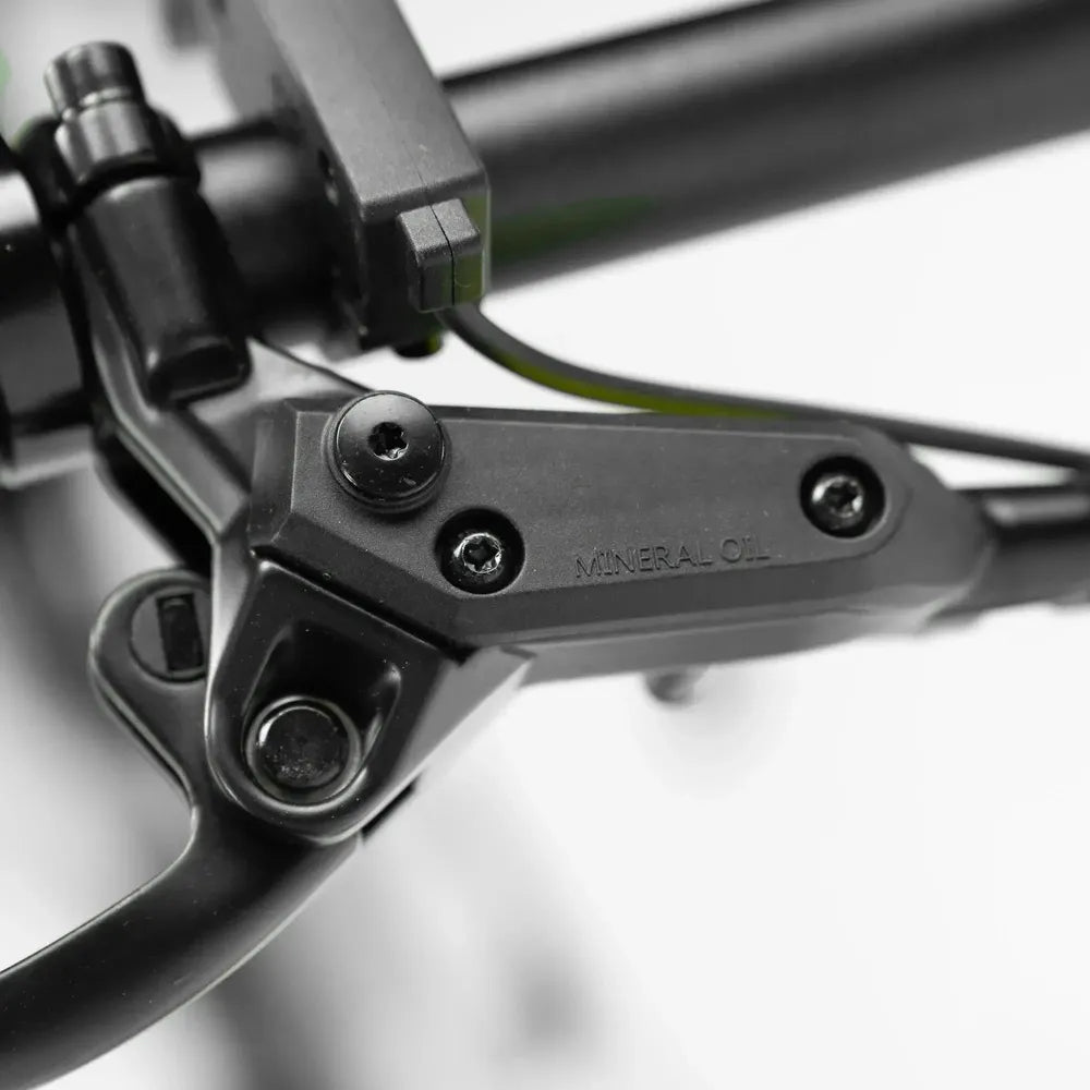 ENGWE P20 - Elektrische Vouwfiets - Zwart