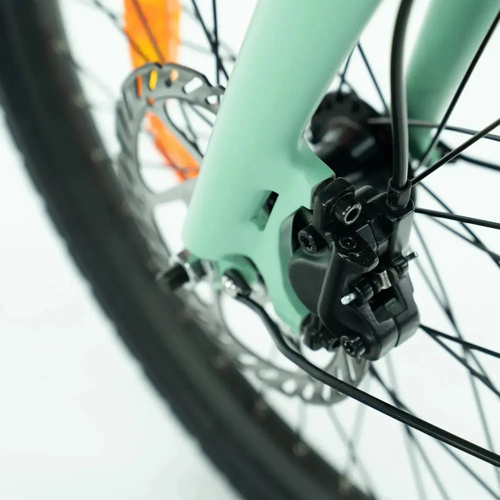 ENGWE P20 - Elektrische Vouwfiets - Groen