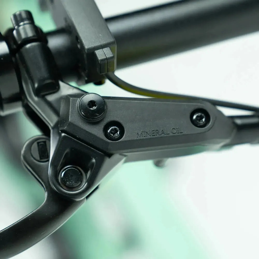 ENGWE P20 - Elektrische Vouwfiets - Groen