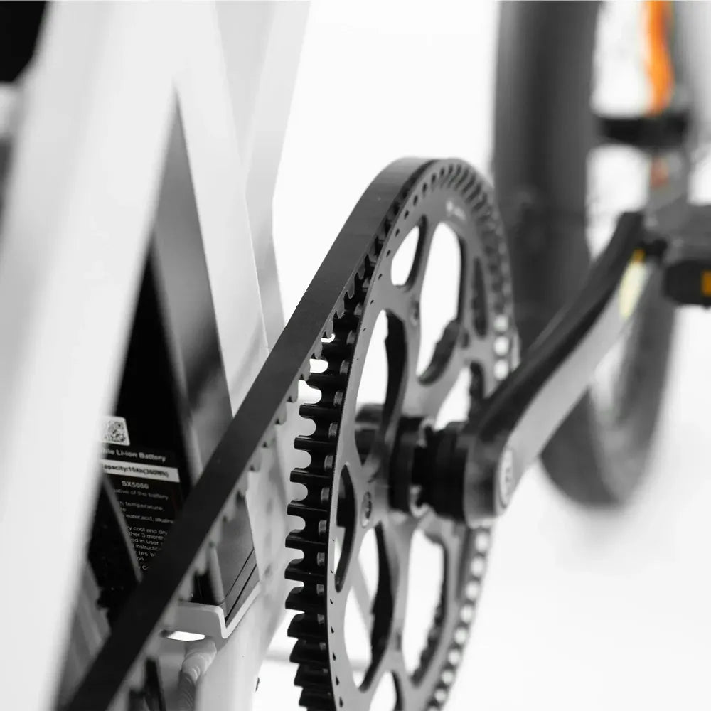 ENGWE P20 - Elektrische Vouwfiets - Zwart