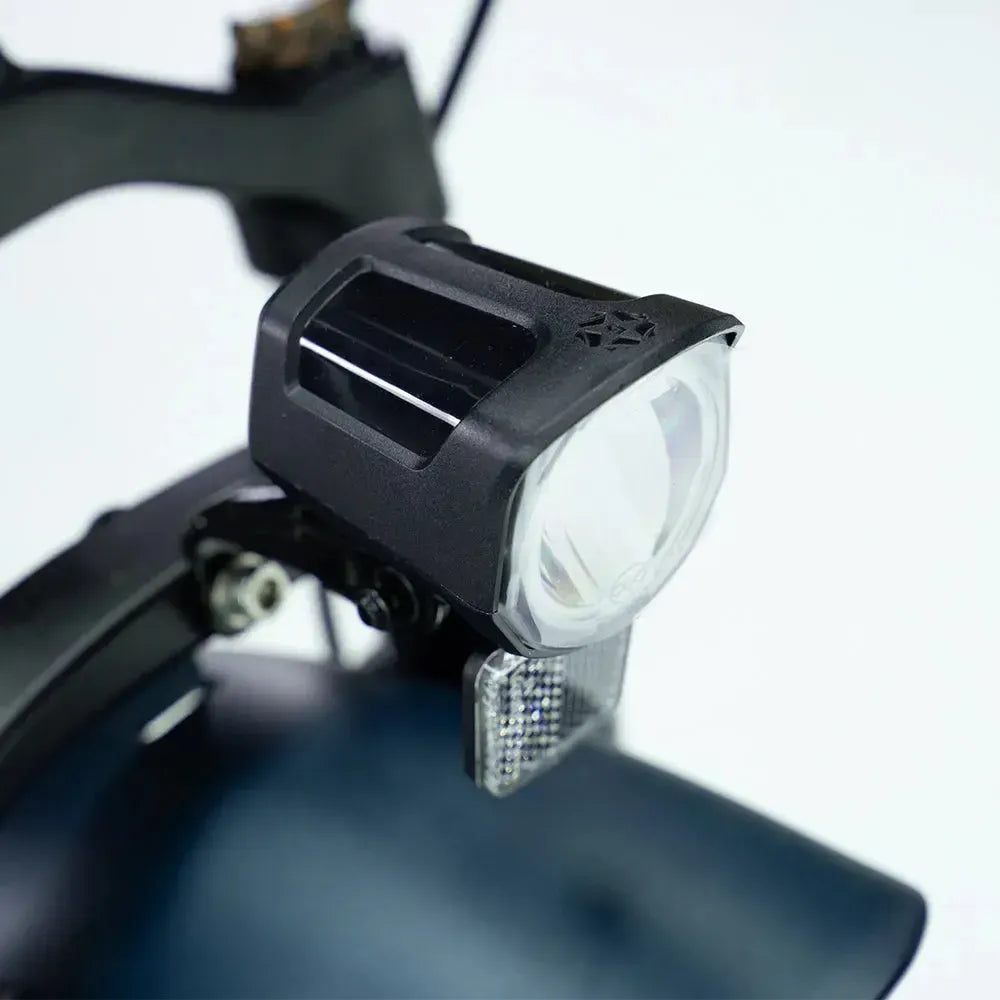 Engwe Engine Pro 2.0 - Elektrische Vouwfiets - Blauw