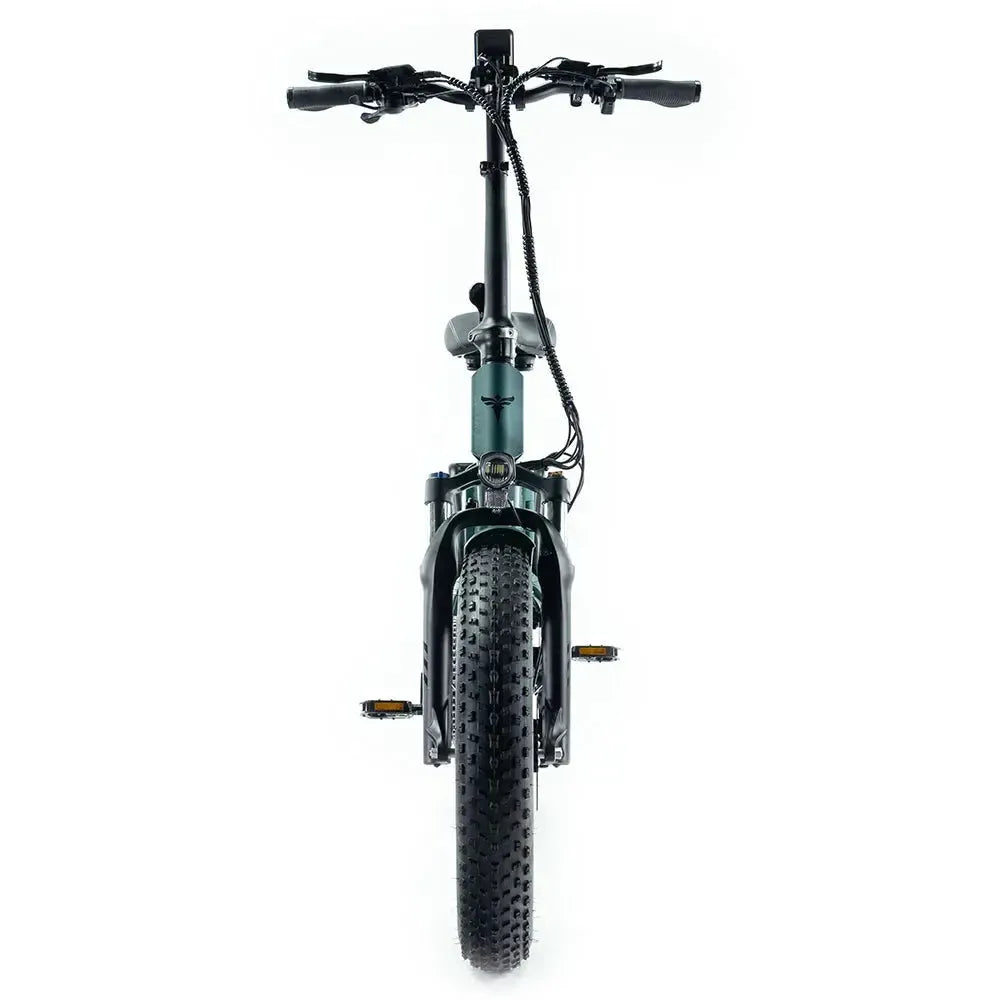 Engwe Engine Pro 2.0 - Elektrische Vouwfiets - Groen