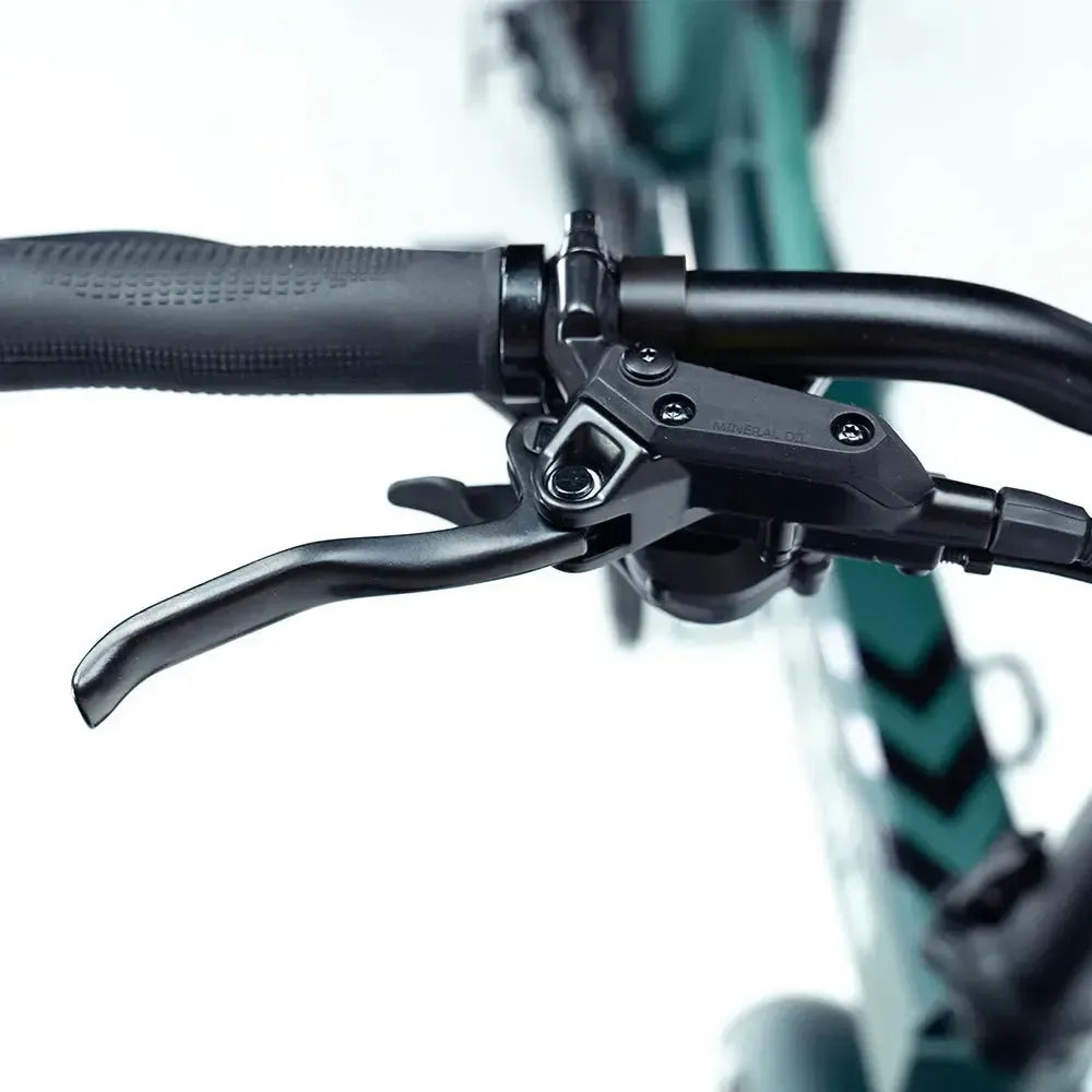 Engwe Engine Pro 2.0 - Elektrische Vouwfiets - Groen