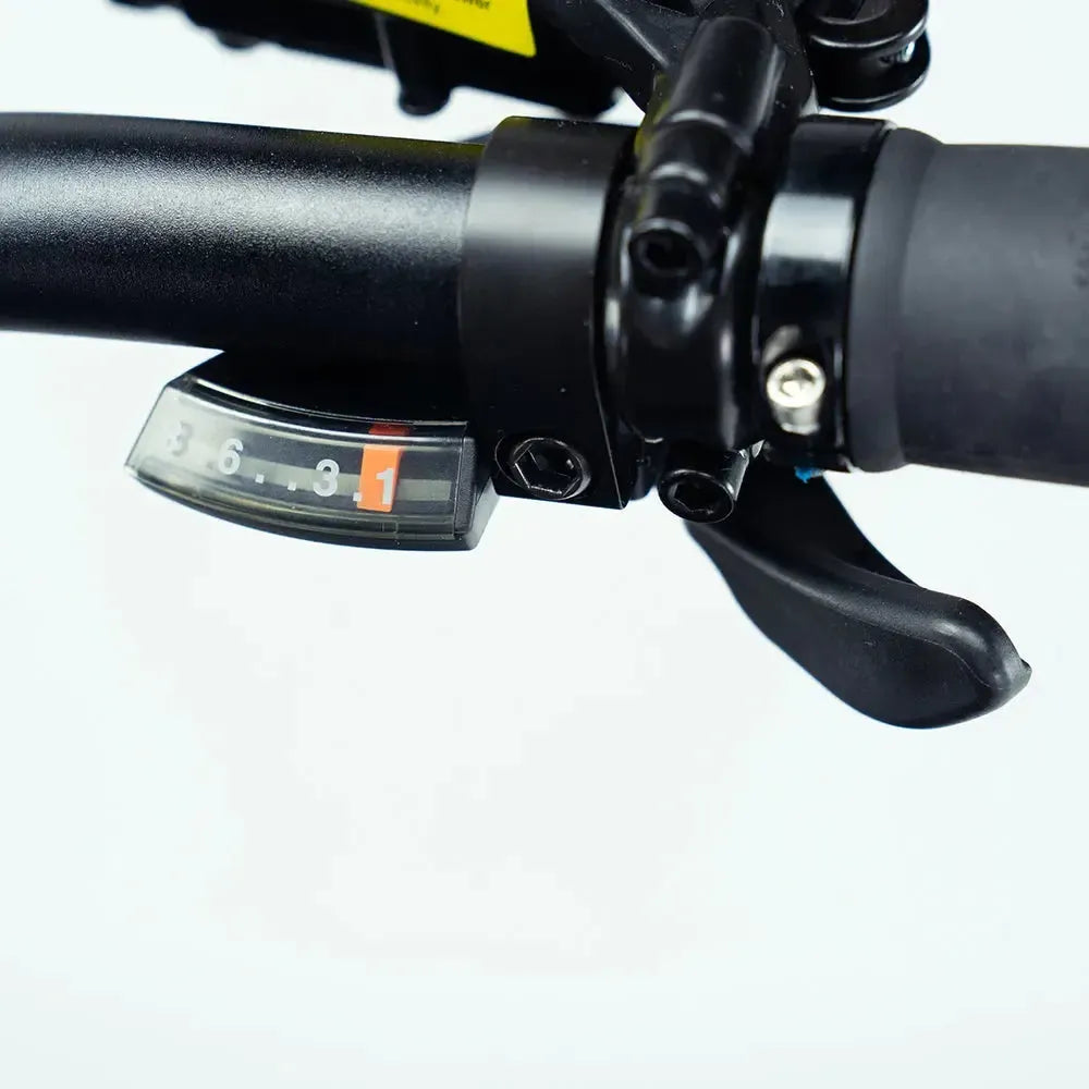 Engwe Engine Pro 2.0 - Elektrische Vouwfiets - Zwart