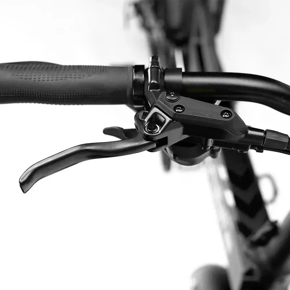Engwe Engine Pro 2.0 - Elektrische Vouwfiets - Zwart