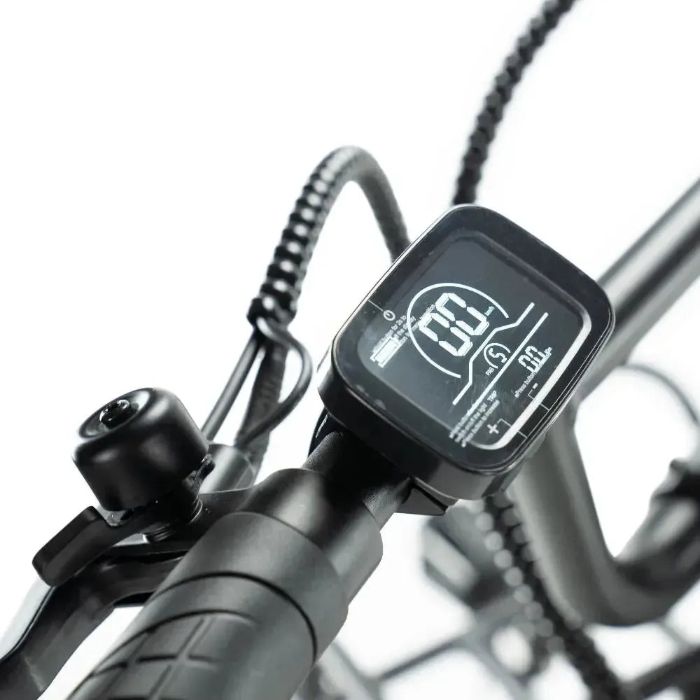Engwe L20 - Fatbike - Zwart