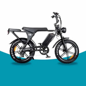 Fatbikes