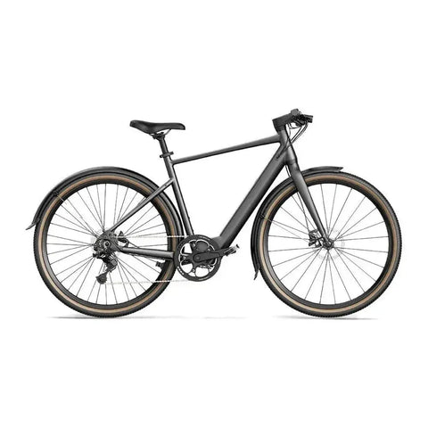 Fiido C21 - Gray