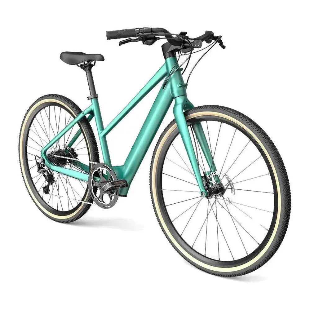Fiido C22 - Groen