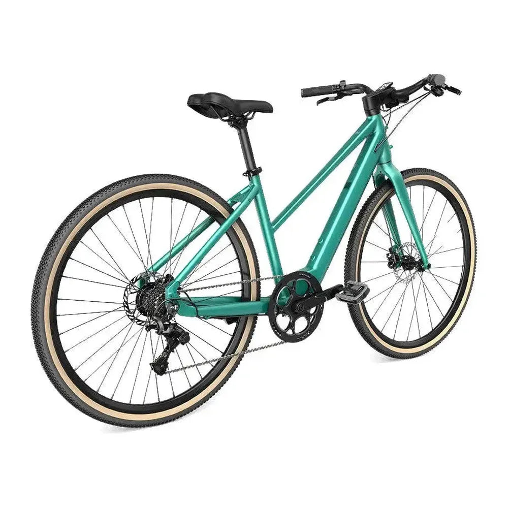 Fiido C22 - Groen