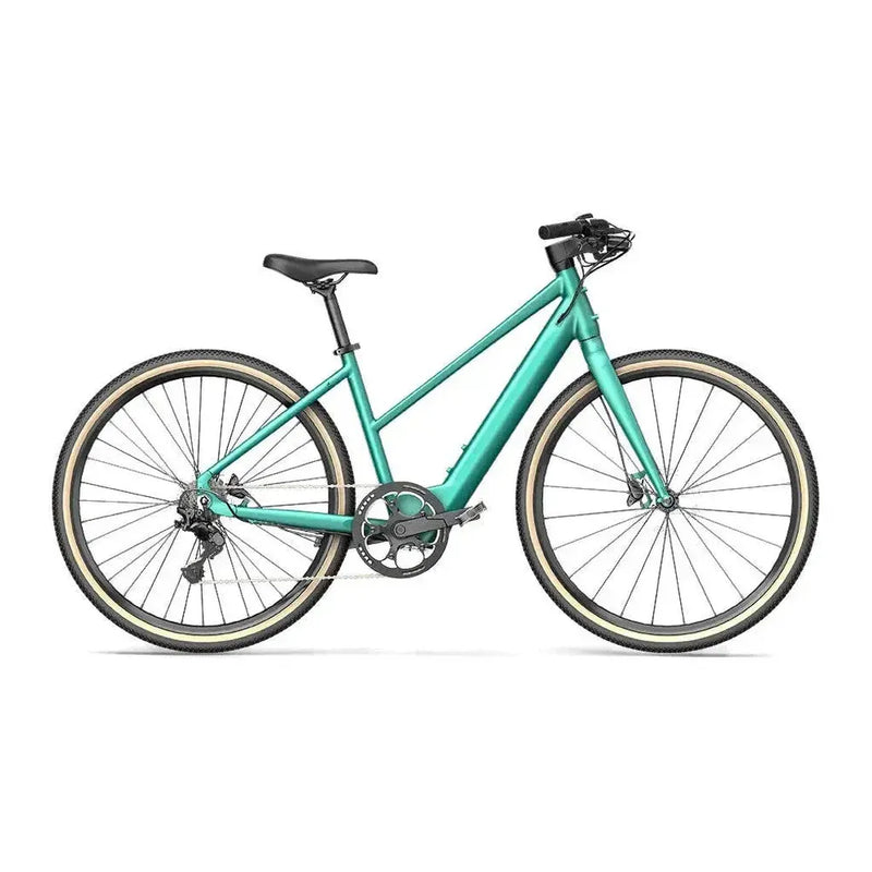 Fiido C22 - Groen