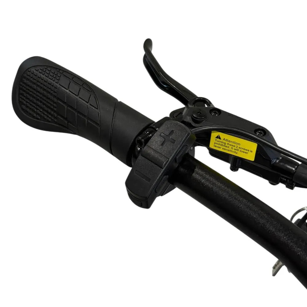 Hydraulische remmen van de engwe e26