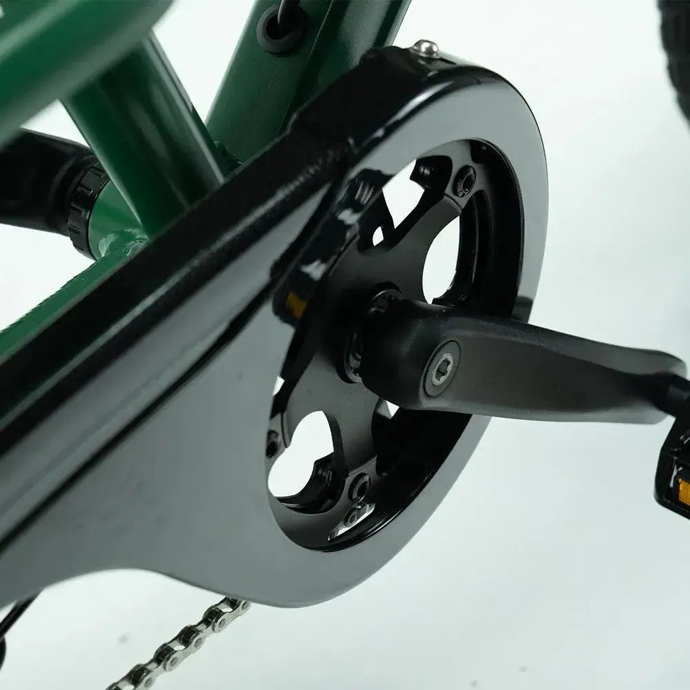 JOBOBIKE Transer - Longtail - Groen