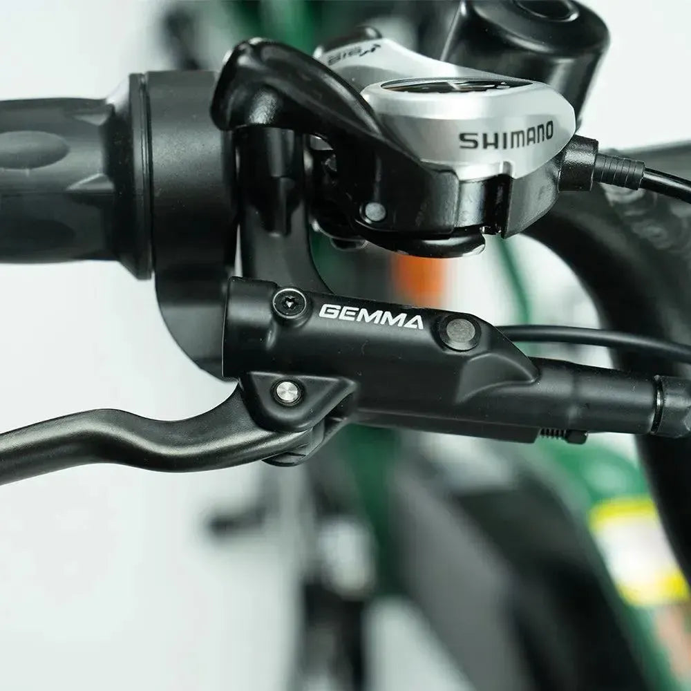 JOBOBIKE Transer - Longtail - Groen