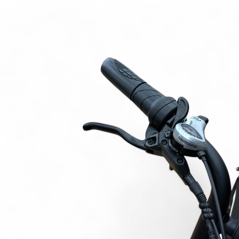V20 Pro 4.0 2025 + ART 3 Kettingslot + Verzekeringsaanvraag + Alarmsysteem + Achterzitje + Voetsteuntjes