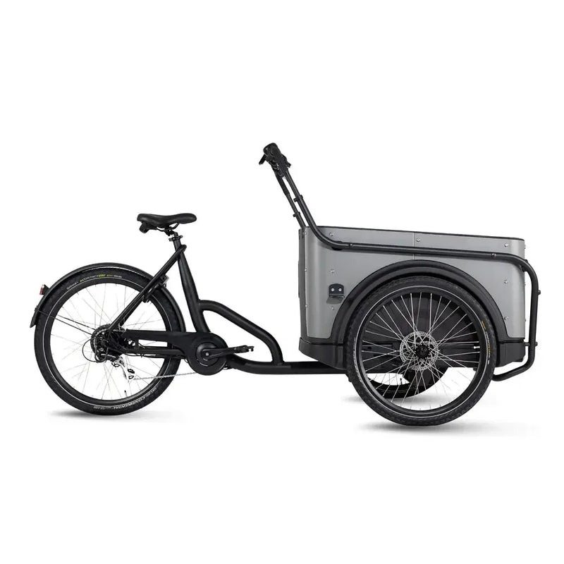 Royal Cargo Bike 3W Eco - Gray