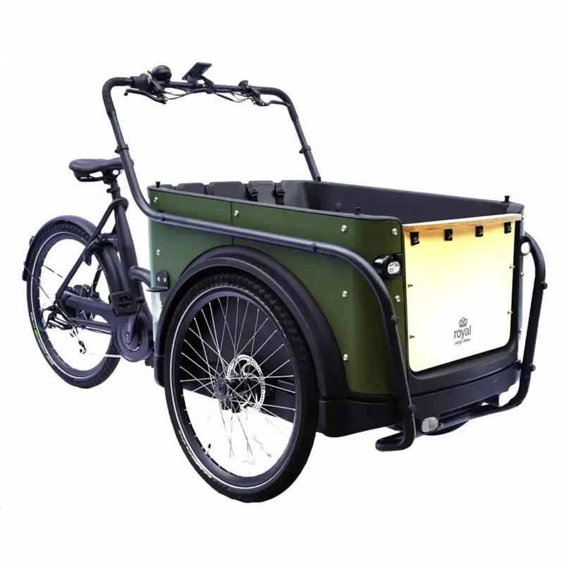 Royal Cargo Bike 3W Eco - Green