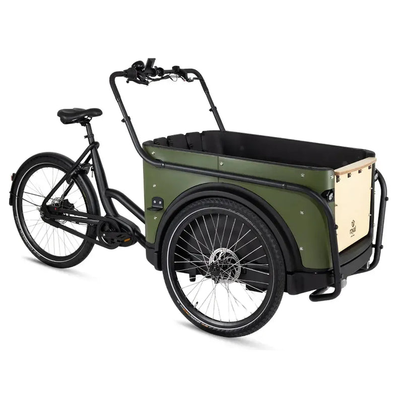 Royal Cargo Bike 3W Premium - Green