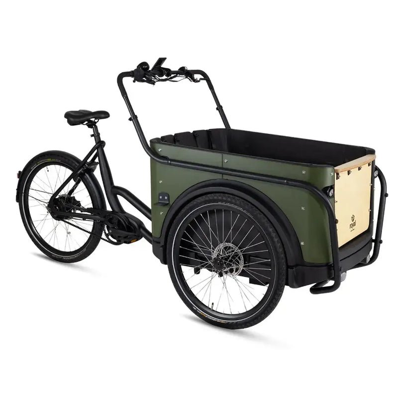 Royal Cargo Bike 3W Premium Plus - Green