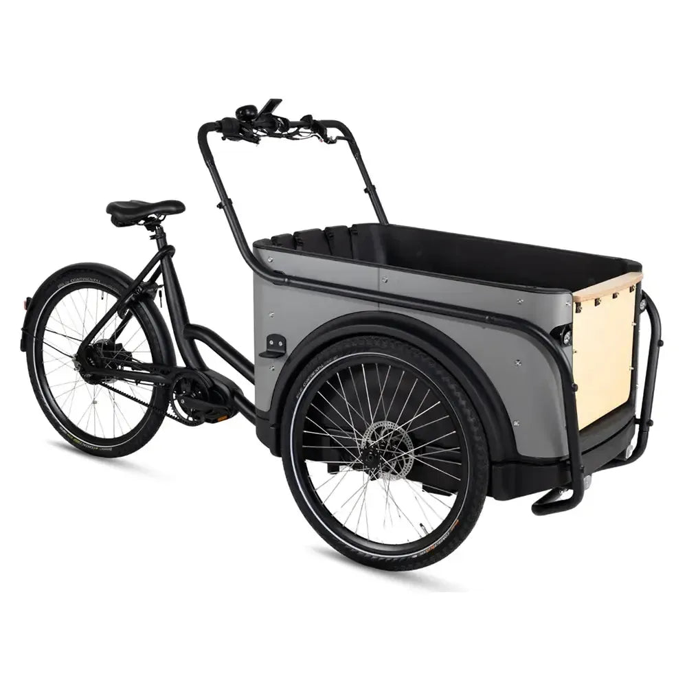 Royal Cargo Bike 3W Premium Plus - Taupe grijs
