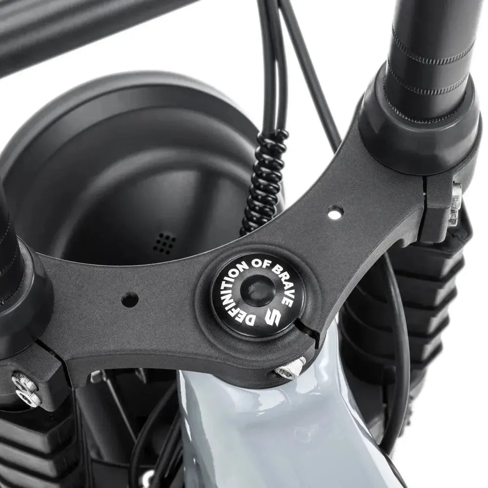 STOER Bikes Urban X - Fatbike - Grijs