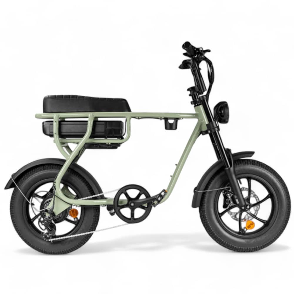Kinder Fatbike EB16 | Bruin | Hydraulische remmen