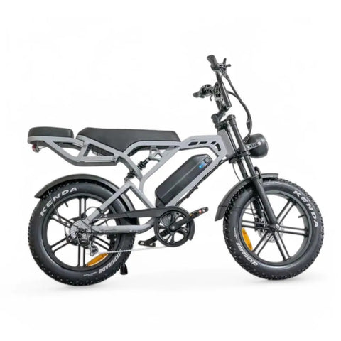 V20 Pro 5.0 Grijs - Fatbike - Hydraulische remmen