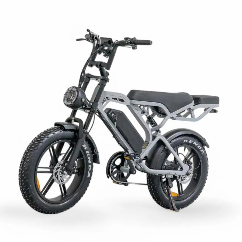 V20 Pro 5.0 Grijs - Fatbike - Hydraulische remmen