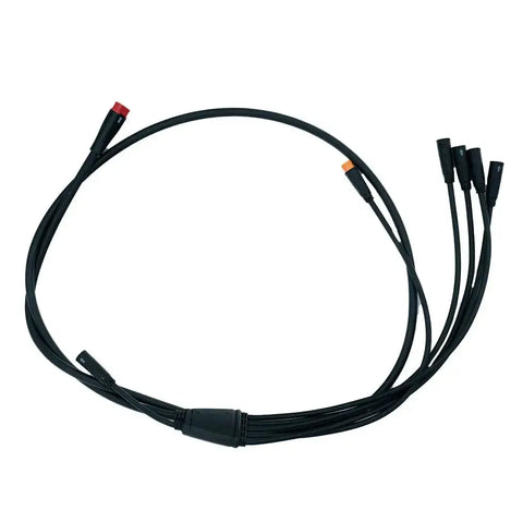 V20 - Kabelboom (blauwe kabel)