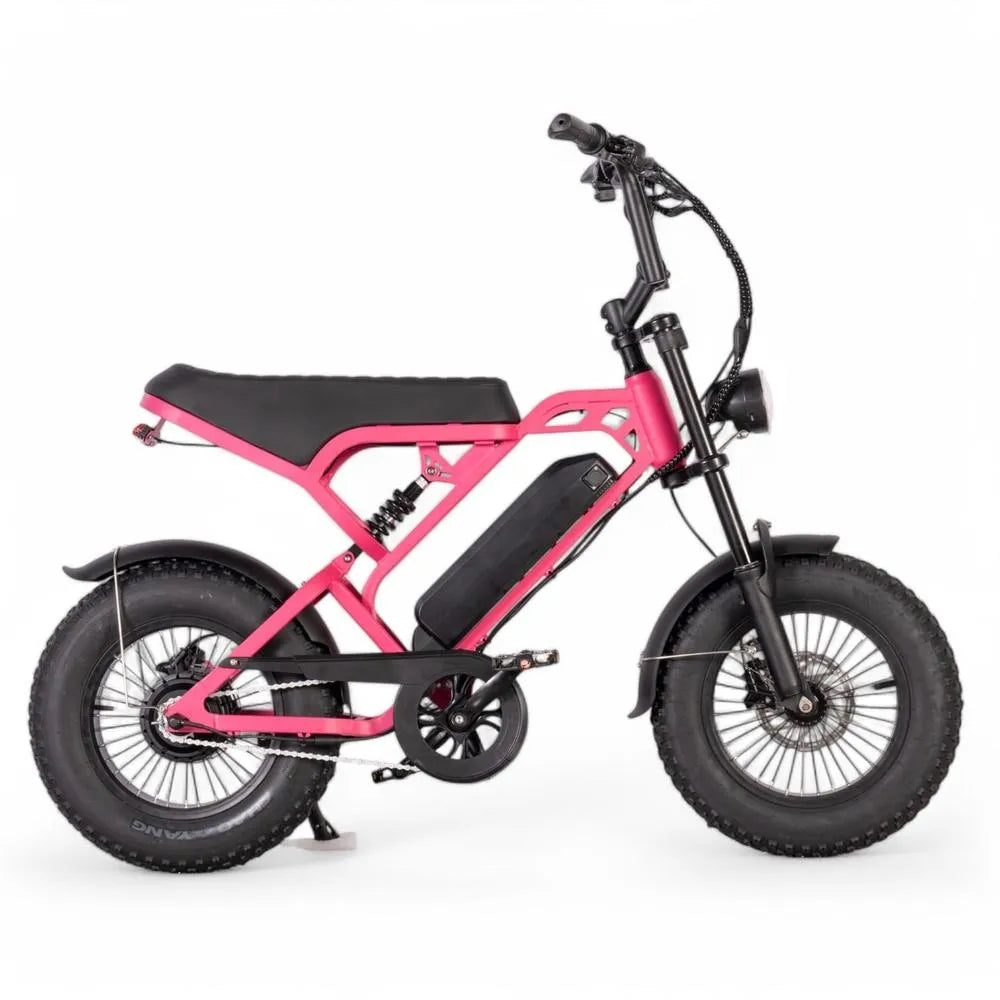 V20 Mini - Roze - Fatbike