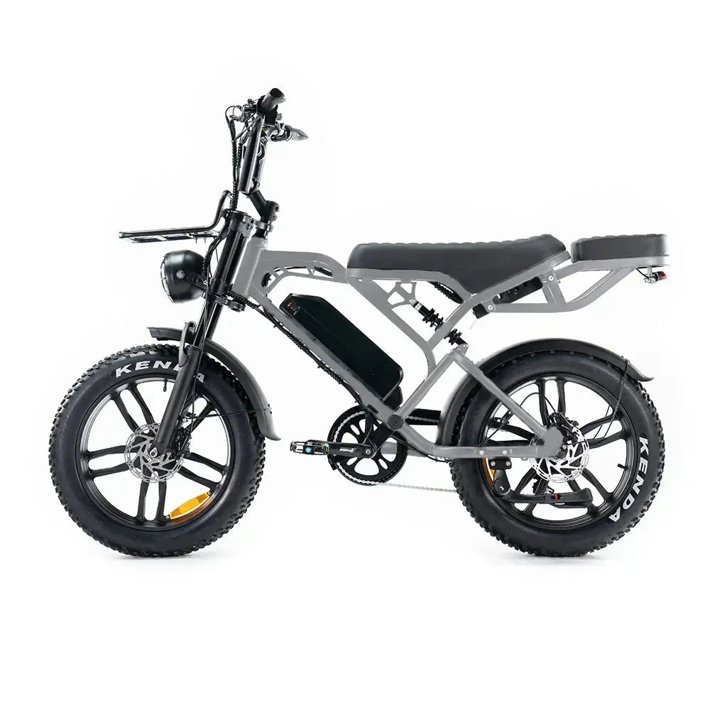V20 Pro 5.0 Grijs - Fatbike - Hydraulische remmen