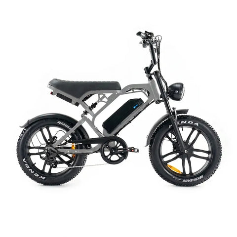 V20 Pro 5.0 Grijs - Fatbike - Hydraulische remmen