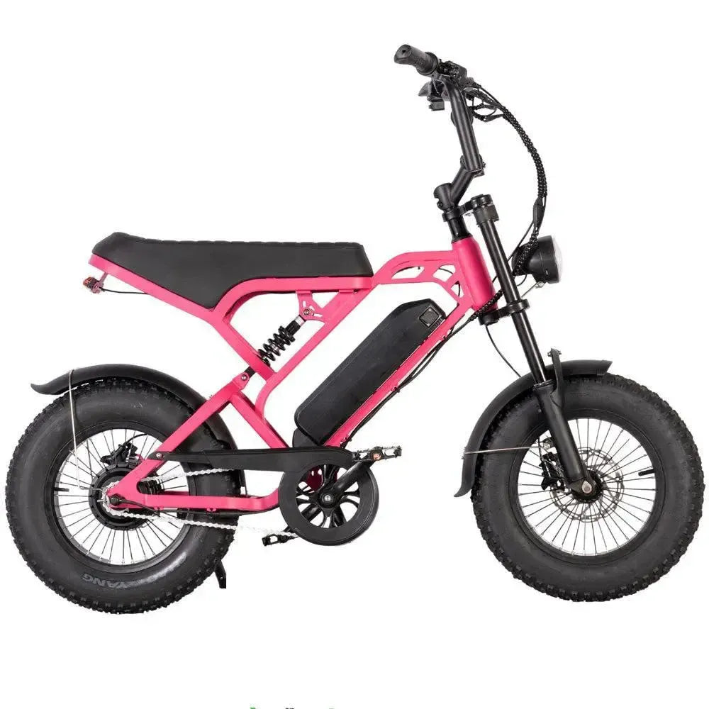 V20 Mini - Roze - Fatbike