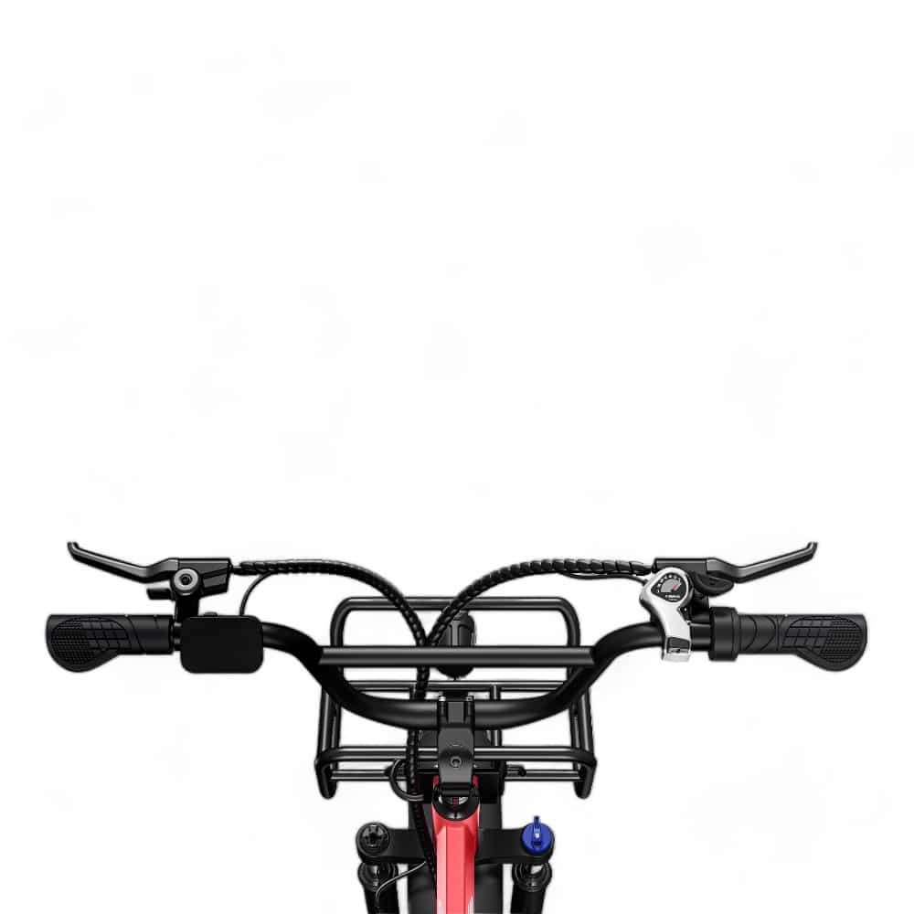 Engwe L20 - Fatbike - Zwart
